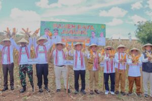 Panen Raya Jagung Bersama Dirjen Kementrian Pertanian, Bupati Bambang Firdaus, SE Sampaikan Tantangan Petani Dompu